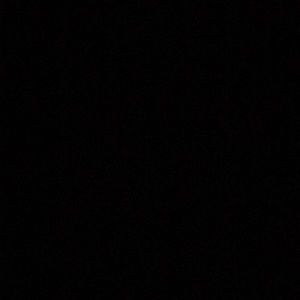 Meet your Posher, Cookie